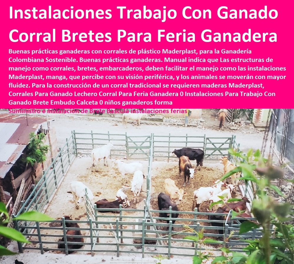 Corrales Para Ganado Lechero Corral Para Feria Ganadera 0 Instalaciones Para Trabajo Con Ganado Pesebreras De Caballos, Plaza Toros, Brete Ganadero, Apretaderos Embarcaderos, Postes Tablas, Corral Caballerizas, Polines Varetas, Mangas De Coleo, Horcones Madera Plástica, Corrales, Establos De Ganado, Mangas De Coleo, Brete Embudo Calceta 0 niños ganaderos forma correcta manga de bovinos 0 Suministro e instalación de Brete Bascula instalaciones ferias Corrales Para Ganado Lechero Corral Para Feria Ganadera 0 Instalaciones Para Trabajo Con Ganado Brete Embudo Calceta 0 niños ganaderos forma correcta manga de bovinos 0 Suministro e instalación de Brete Bascula instalaciones ferias